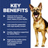 Hill's Science Diet Adult 6+ Large Breed Dry Dog Food - Chicken & Barely - 33lb Bag