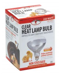 Little Giant Clear Heat Lamp Bulb 250 Watt - Poudre Pet and Feed Supply