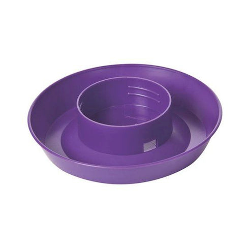 Little Giant Mason Jar Base Purple - Poudre Pet and Feed Supply