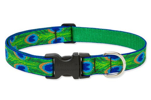 LUPINE Adjustable Collar Tail Feather 1x12-20" - Poudre Pet and Feed Supply