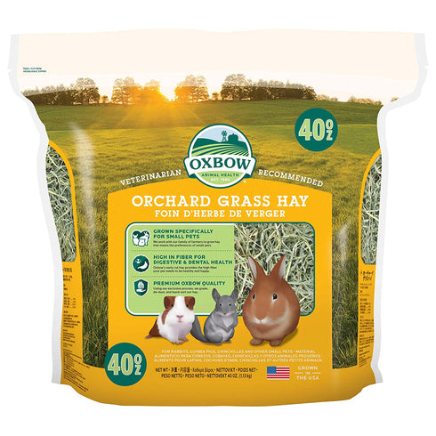 Oxbow Orchard Grass Hay Small Mammal Food 40oz - Poudre Pet and Feed Supply