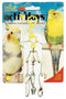 JW Pet ActiviToy Fork Knife Spoon Bird Toy Small/Medium - Poudre Pet and Feed Supply