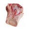 Naturally Wild Frozen Beef Marrow Bone Dog Treats 6-8" Single - Poudre Pet and Feed Supply