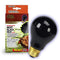 ZILLA Incandescent Night Black Heat Bulb 150W - Poudre Pet and Feed Supply