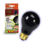 ZILLA Incandescent Night Black Heat Bulb 50W - Poudre Pet and Feed Supply