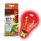 ZILLA Incandescent Night Red Heat Bulb 100W - Poudre Pet and Feed Supply