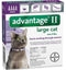 Bayer DVM Advantage II for Cats Over 9lb, 4 Month Supply - Poudre Pet and Feed Supply