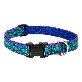 LUPINE Adjustable Collar Rain Song 3/4x9-14" - Poudre Pet and Feed Supply