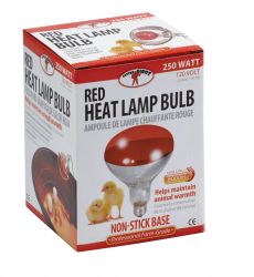 Little Giant Red Heat Lamp Bulb 250 Watt - Poudre Pet and Feed Supply