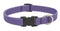 Lupine Adjustable Collars Lilac 3/4" x 13-22" - Poudre Pet and Feed Supply
