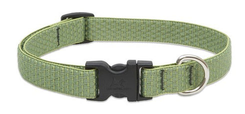 Lupine Adjustable Collars Moss 3/4" x 13-22" - Poudre Pet and Feed Supply