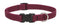 Lupine Adjustable Collars Berry 3/4" x 13-22" - Poudre Pet and Feed Supply