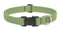 Lupine Adjustable Collars Moss 1x12-20" - Poudre Pet and Feed Supply
