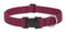 Lupine Adjustable Collars Berry 1x16-28" - Poudre Pet and Feed Supply