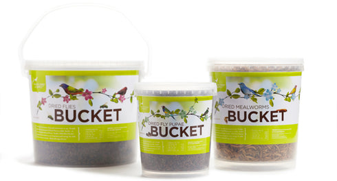 Pacific Bird Gourmet Insect Medley 14oz - Poudre Pet and Feed Supply