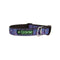 Cycle Dog Tie Dye Dog Collar Medium - Poudre Pet and Feed Supply