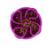 Outward Hound Fun Feeder Slo-Bowl Mini Purple - Poudre Pet and Feed Supply