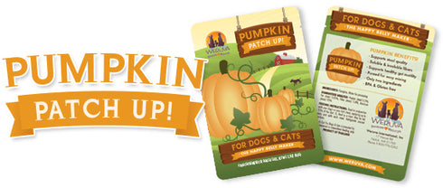 Weruva Pumpkin Patch Up! 1.05oz - Poudre Pet and Feed Supply
