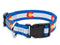 Colorado Proud ! Collar Medium - Poudre Pet and Feed Supply