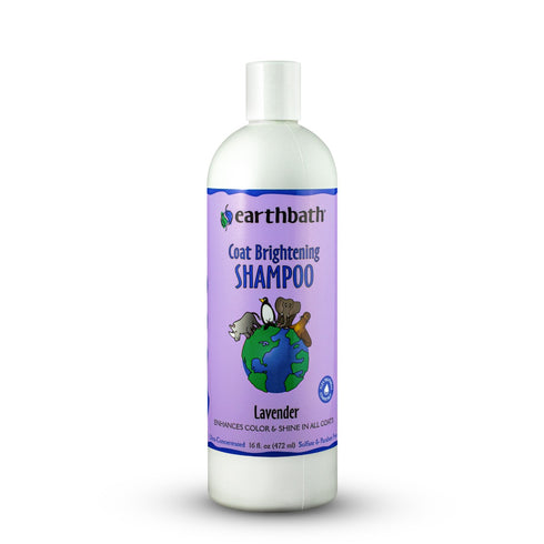 Earthbath Light Coat Brightener Shampoo - 16oz - Poudre Pet and Feed Supply