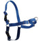 PetSafe Easy Walk Harness Medium Blue - Poudre Pet and Feed Supply