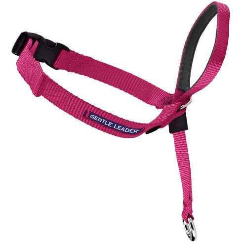 PetSafe Gentle Leader Headcollar Medium Raspberry - Poudre Pet and Feed Supply