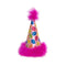Party Hat Pink Small - Poudre Pet and Feed Supply