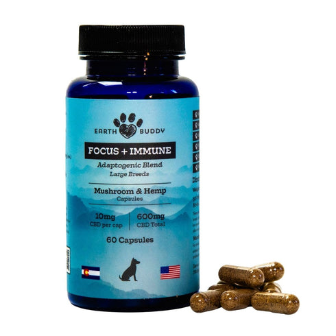 Earth Buddy Focus + Immune-Mushroom & Hemp Capsules for Large Breeds 10mg 4pk - Poudre Pet and Feed Supply