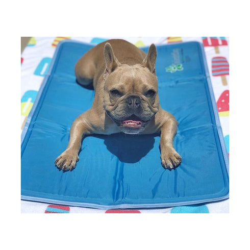 The Green Pet Shop Cool Pet Pad Medium/Large - Poudre Pet and Feed Supply