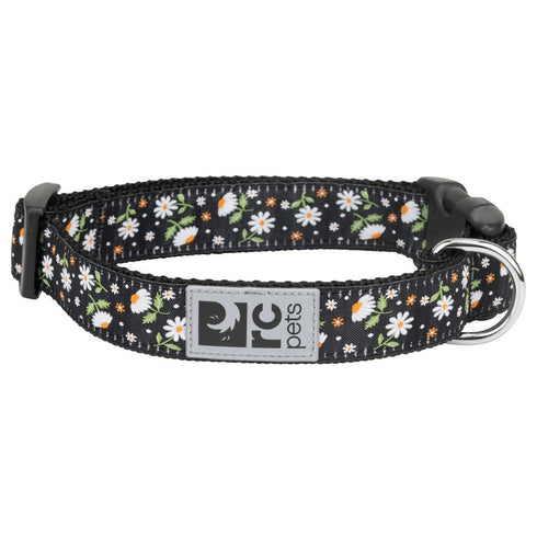 RC Pets Primary Clip Collar Daisies Small 3/4" Width - Poudre Pet and Feed Supply