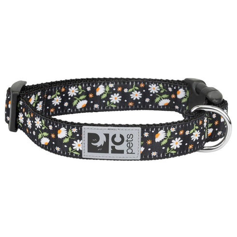 RC Pets Clip Dog Collar Daisies Large 1" Width 15"-25" Neck - Poudre Pet and Feed Supply