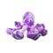 Kong SoftSeas Octopus Large for Dogs - Poudre Pet and Feed Supply