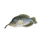 SteelDog Denim Fish Crappie With Rope Dog Squeaky Toy - Poudre Pet and Feed Supply