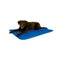K&H Manufacturing Cool Bed III Cooling Dog Bed Blue Large - 32" x 44" - Poudre Pet and Feed Supply