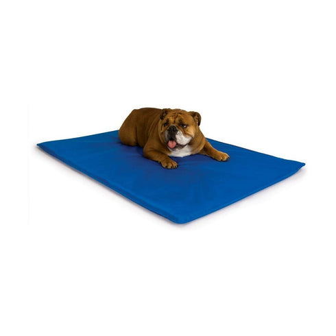 K&H Manufacturing Cool Bed III Cooling Dog Bed Blue Medium - 22" x 32" - Poudre Pet and Feed Supply