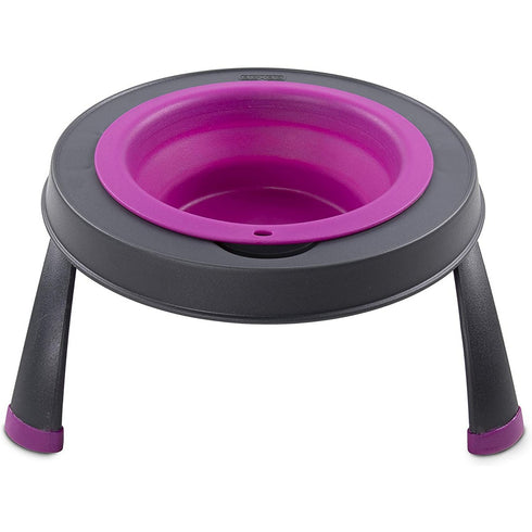 Dexas Elevated Single Feeder Fuchsia Large - Poudre Pet and Feed Supply