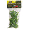 ZOO MED Natural Bush Plants Amazonian Phyllo Small - Poudre Pet and Feed Supply