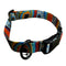 MNT Straps Autumn Dog Collar Large 16"-28" - Poudre Pet and Feed Supply