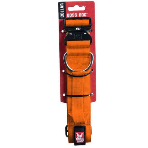 Boss Dog Tactical Collar 2" Wide 20"-28" XLarge Solid Orange - Poudre Pet and Feed Supply