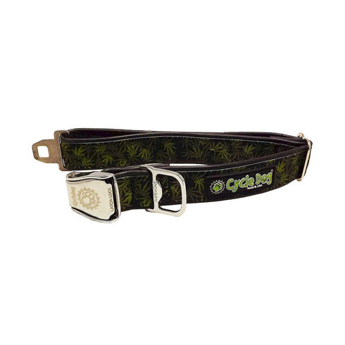 Cycle Dog In The Weeds-Cannabis Dog Collar Medium - Poudre Pet and Feed Supply