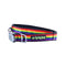 Cycle Dog Dog Collar Pride Large - Poudre Pet and Feed Supply