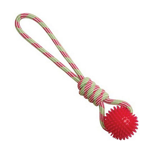 SNUGAROOZ SPIKE-O-MITE ASST - Poudre Pet and Feed Supply