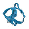 RC Pets Momentum Harness Medium Dark Teal - Poudre Pet and Feed Supply