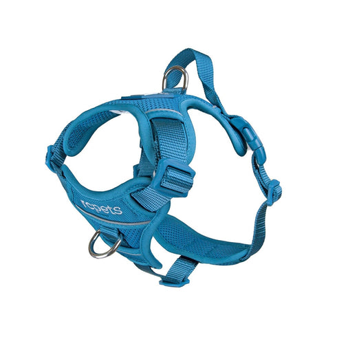 RC Pets Momentum Harness Dark Teal Large - Poudre Pet and Feed Supply