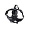 RC Pets Momentum Harness Small Black - Poudre Pet and Feed Supply