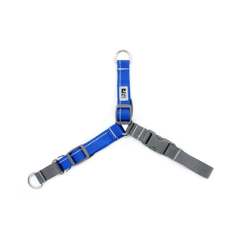 RC Pets Pace No Pull Harness Royal Blue Small - Poudre Pet and Feed Supply