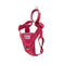 RC Pets Tempo No-Pull Harness Small Heather Azalea - Poudre Pet and Feed Supply