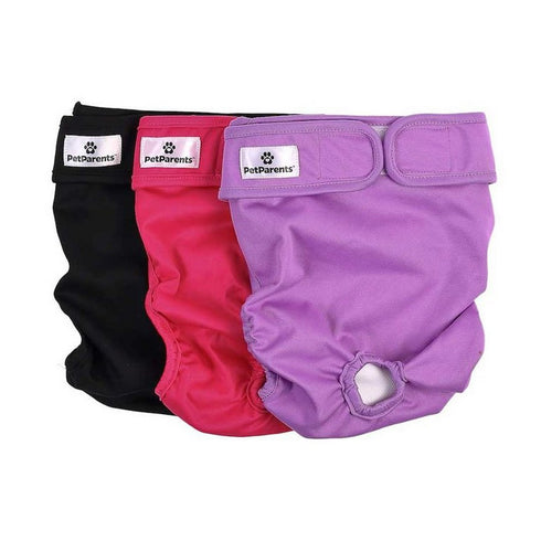 Pet Parents Reusable Princess Dog Diapers 3Pk XL - Poudre Pet and Feed Supply