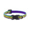 Lupine Adjustable Collar Party Time 1/2" X 6-9" - Poudre Pet and Feed Supply