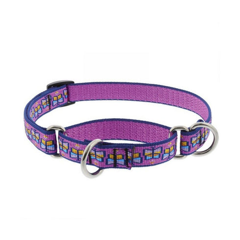 Collar Combo Martingale 3/4" Wide X 9-14" Neck Size Flutterby - Poudre Pet and Feed Supply